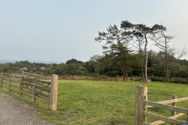 Sun Rise Cottage - Saundersfoot Holidays